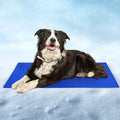 Pet Cooling Mat - All-day Cooling Comfort
