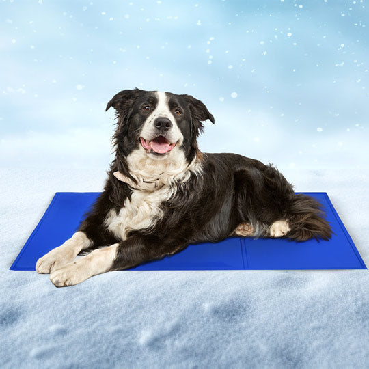 Pet Cooling Mat - All-day Cooling Comfort