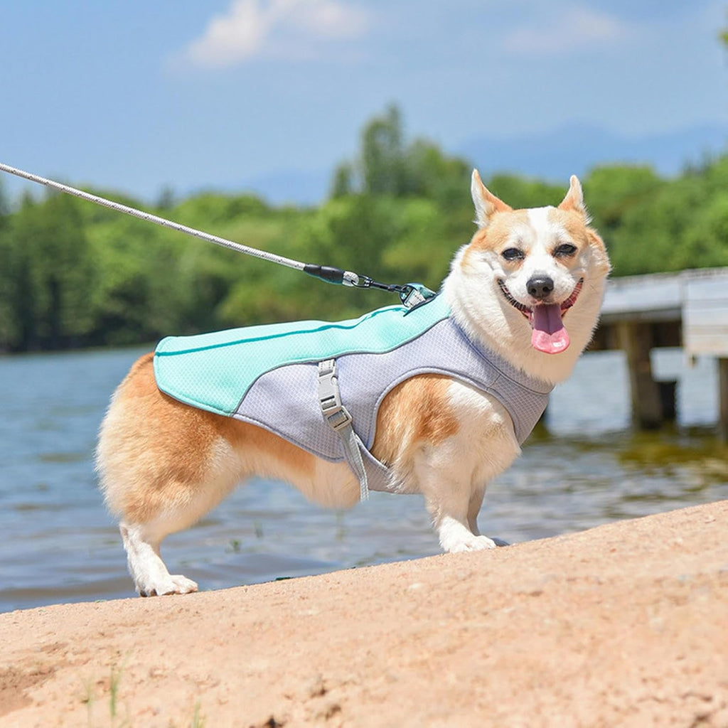 Pet Dog Summer Cooling Vest - Reflective Cooling and Breathable