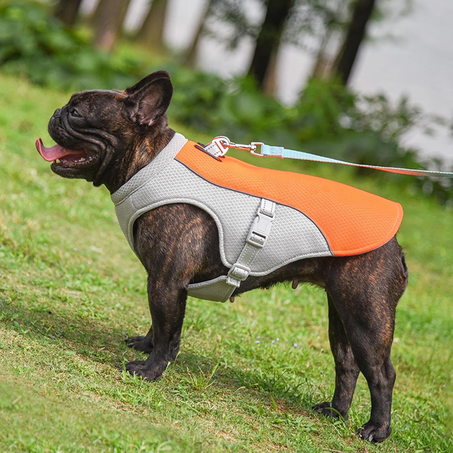 Pet Dog Summer Cooling Vest - Reflective Cooling and Breathable