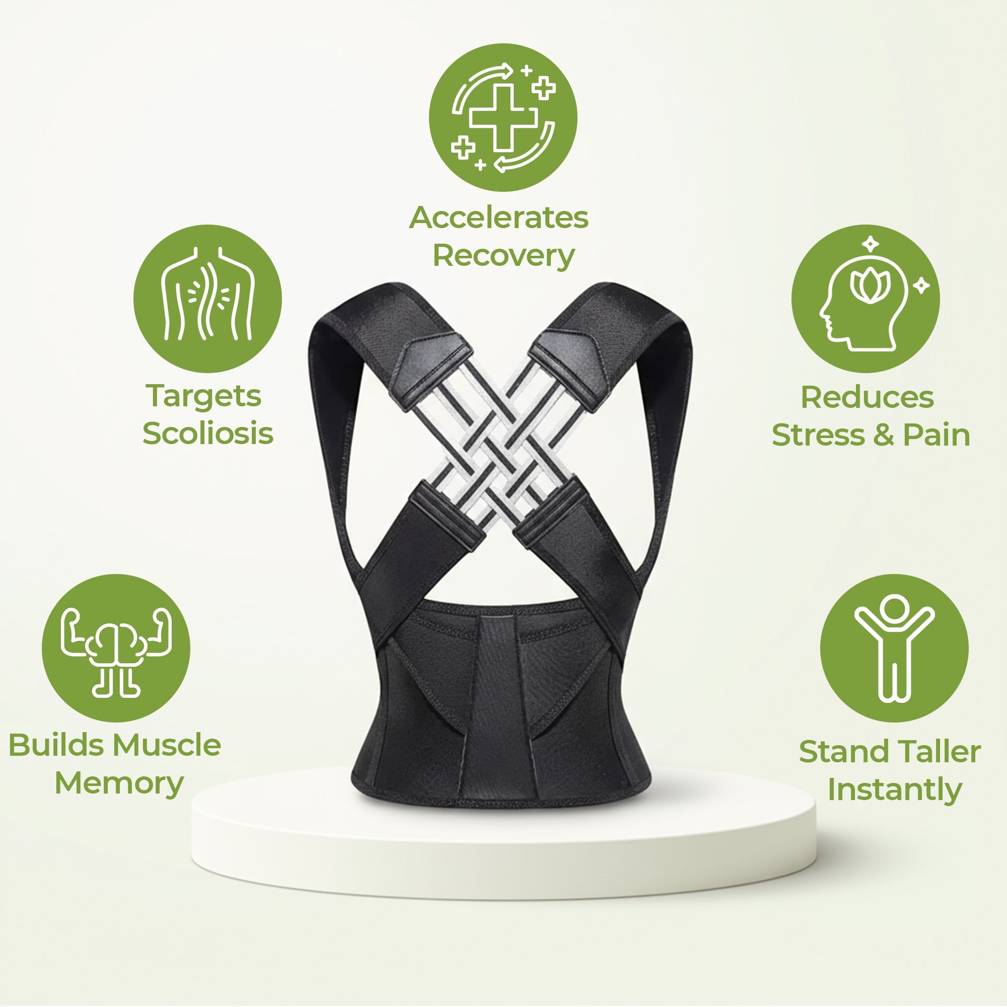 Adjustable Back Support Wearable Belt with FREE Massage Roller